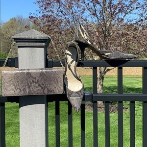 Ann Taylor Clutch & Heels Set